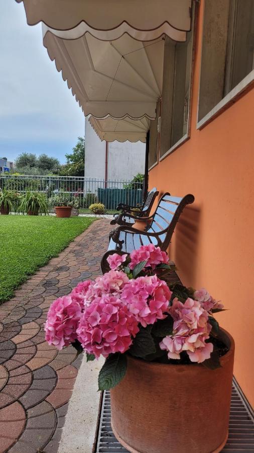 טורבולה Albergo Villa Mimosa מראה חיצוני תמונה