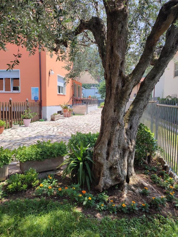 טורבולה Albergo Villa Mimosa מראה חיצוני תמונה