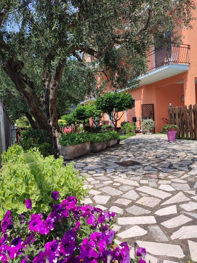 טורבולה Albergo Villa Mimosa מראה חיצוני תמונה